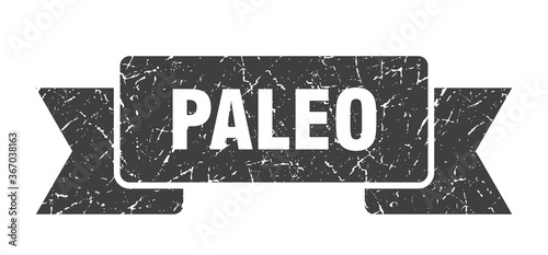 paleo grunge vintage retro band. paleo ribbon