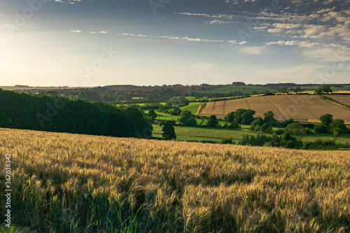 View over fields and rolling hills in English countryside during summer on sunny day photo