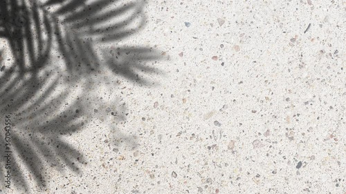 palm shadow tropical leaves summer sunlight sunshine drop shadow on terrazzo floor stone concrete 