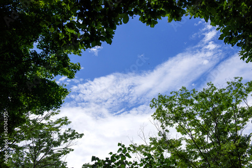 Beautiful blue sky and curious clouds.