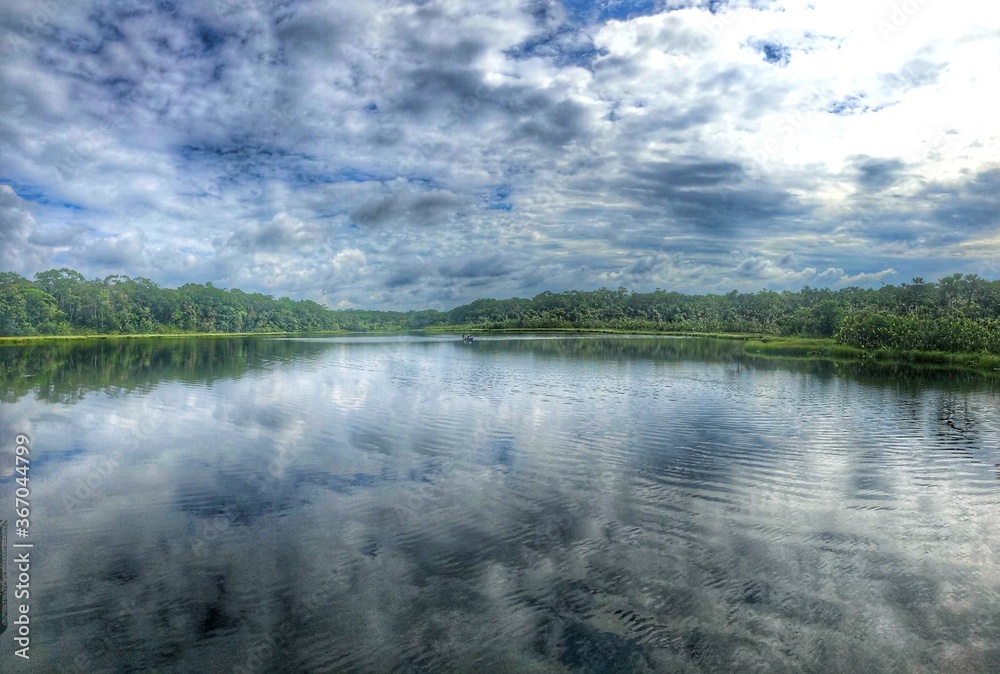 Amazon lagoon, reflected sky