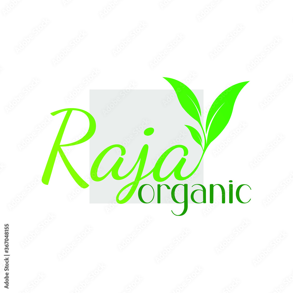 green raja organic leaf plant vector logo with light green square background green raja organic leaf plant vector logo with light green square background