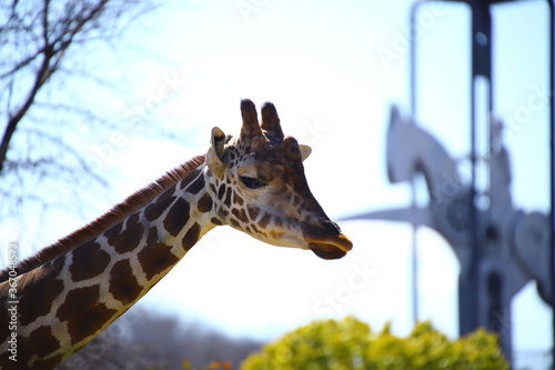 動物
zoo
アニマル
動物園
生物

