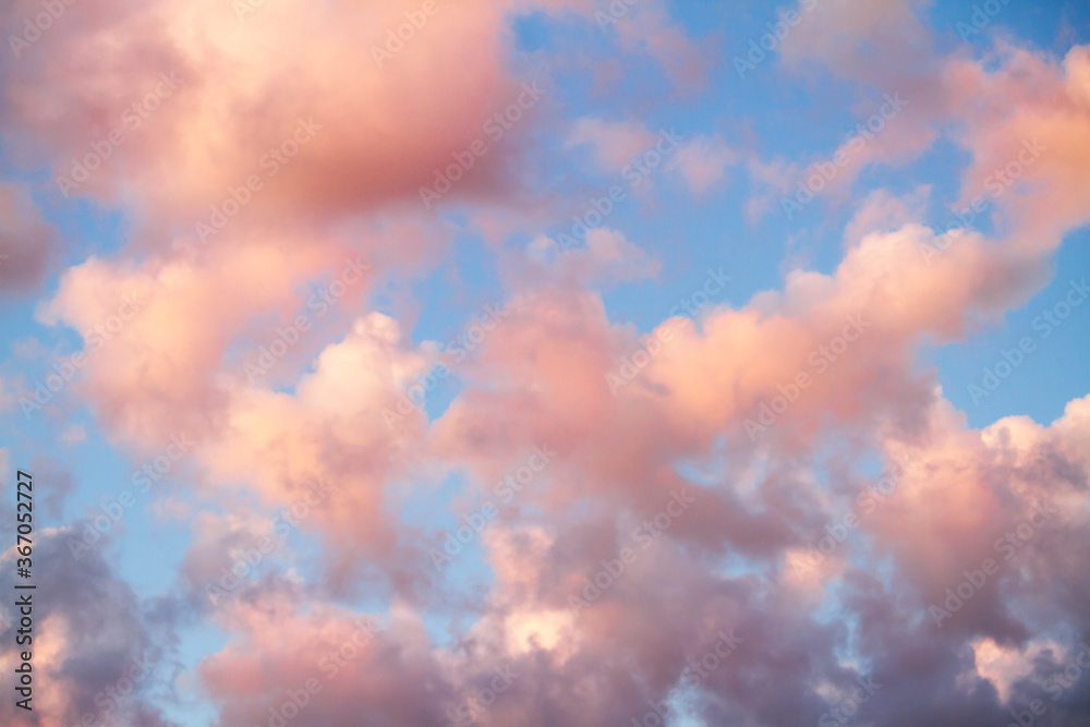 Pink clouds in blue morning sky