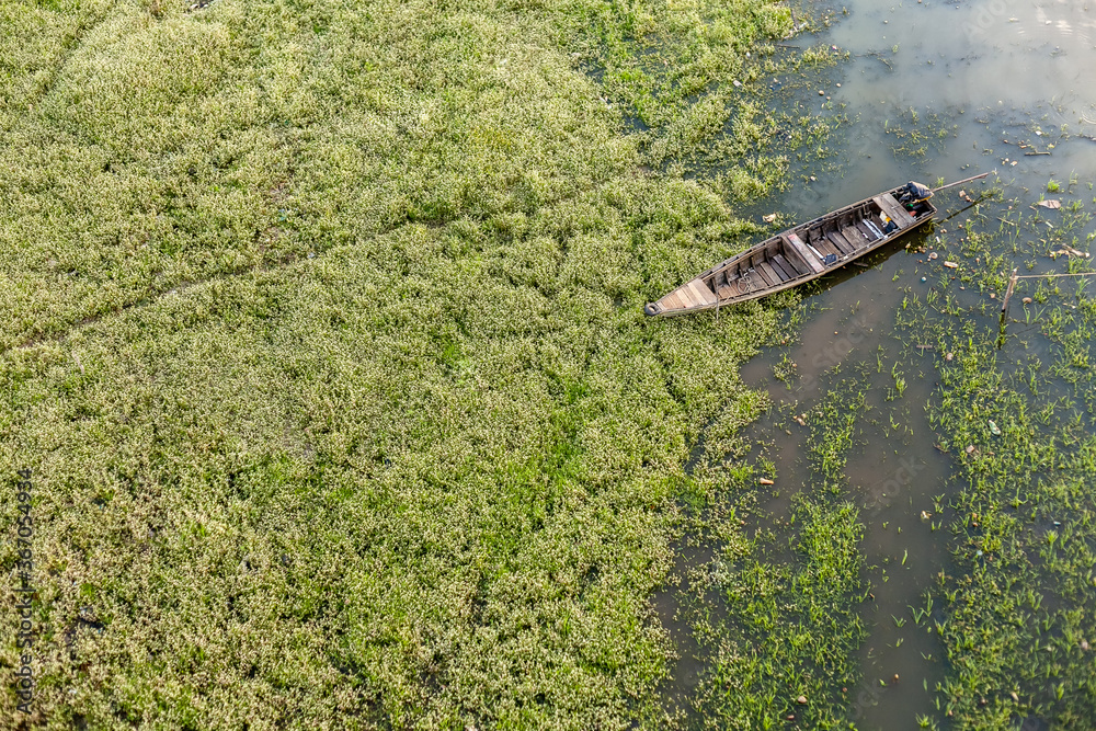 Naklejka premium boat on the river Amazon, Jungle Brazil Manaus