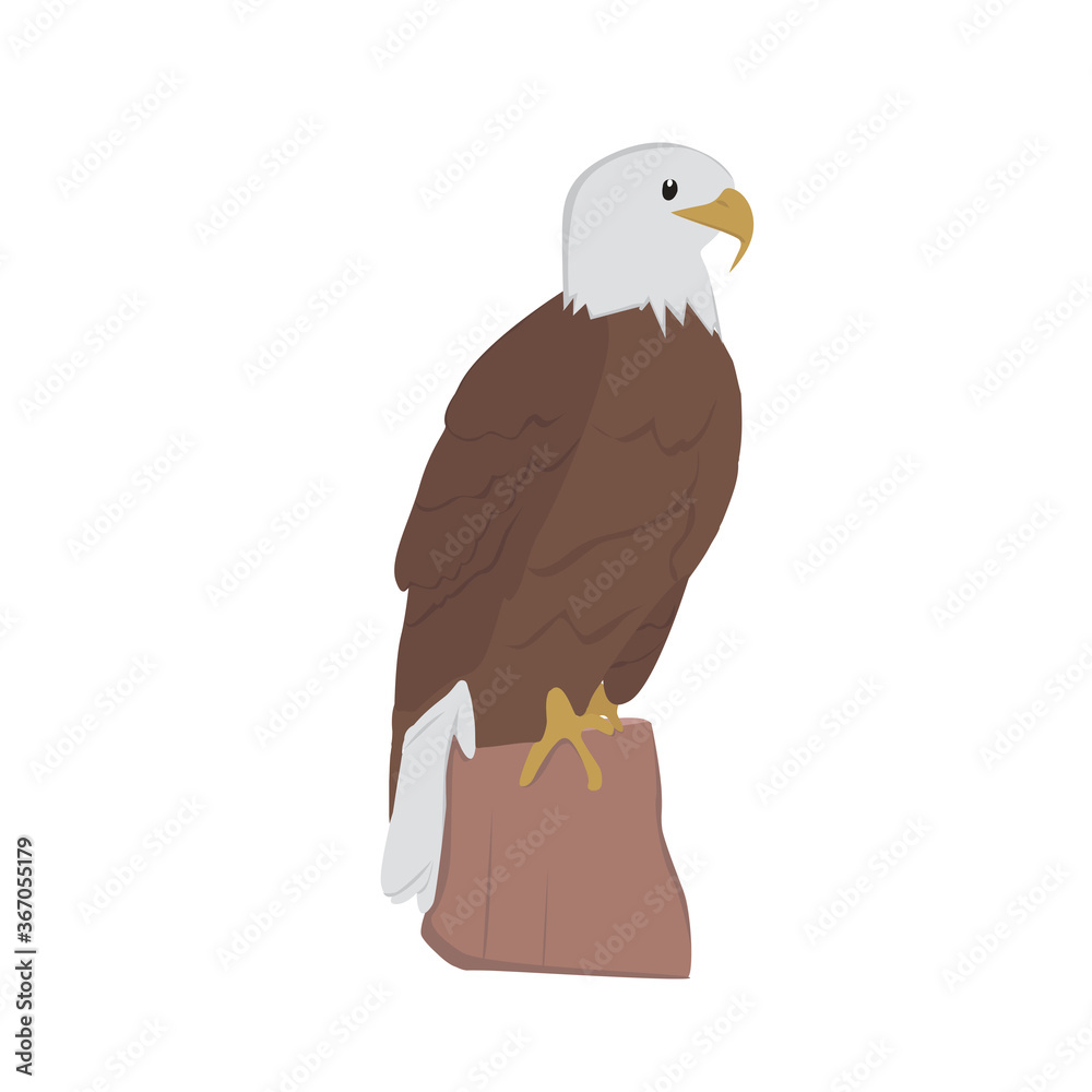 Obraz premium Bald Eagle Illustration