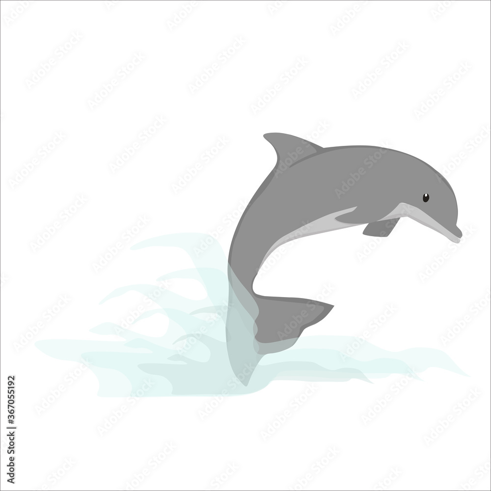Fototapeta premium Dolphin Illustration