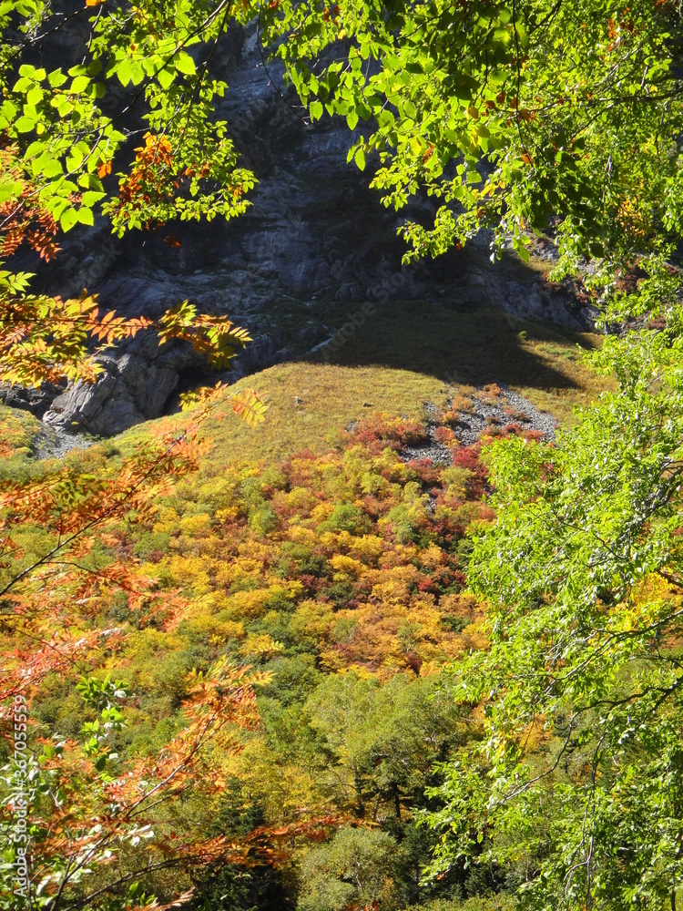 Japan North Alps in autumn