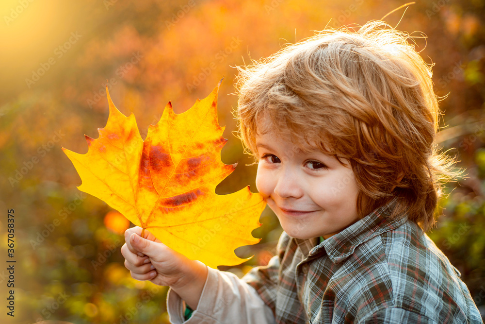 Autumn child dream. Child dreaming and holding autumn leaves. Autumn child dream. Child dreaming and holding autumn leaves.