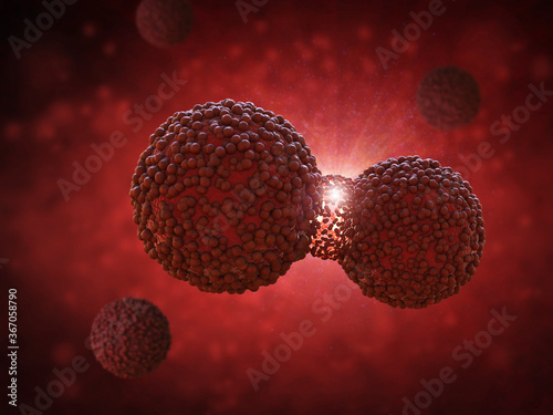 Cancer cell divide or spread out photo