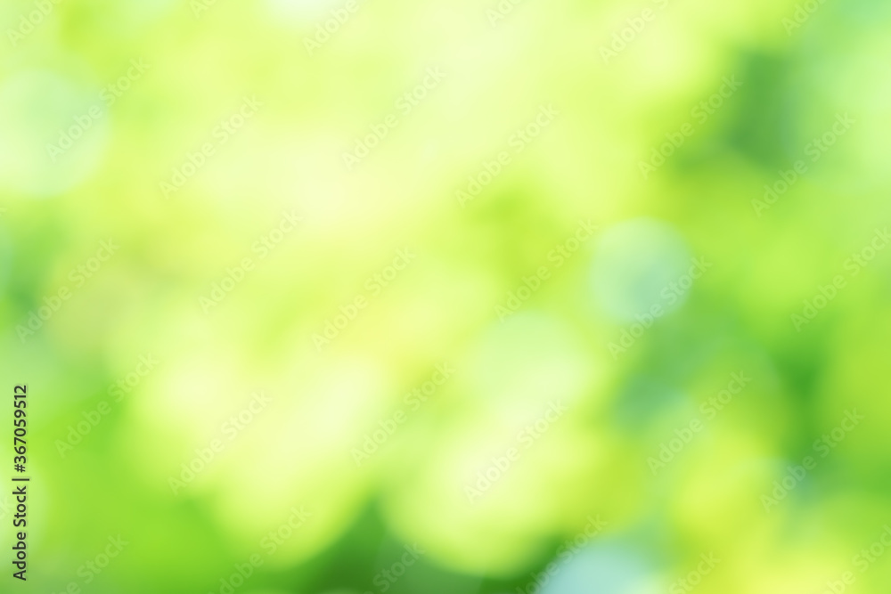 Obraz premium Green blurred background abstract light gradient bokeh natural Used for text input