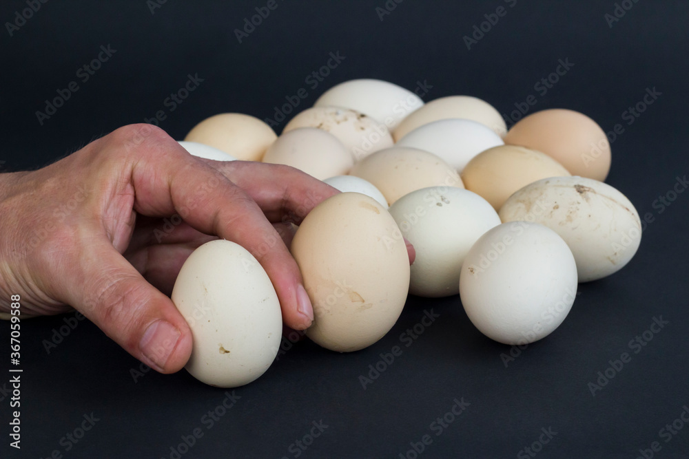 Organic,fresh large size uncooked eggs on black background with copy space.Hand holding. Organic,fresh large size uncooked eggs on black background with copy space.Hand holding.