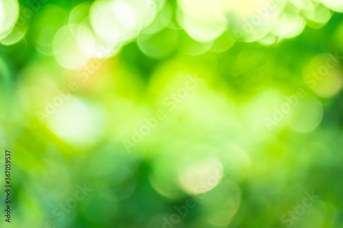 Green background abstract light gradient bokeh natural Used for text input © kaewphoto