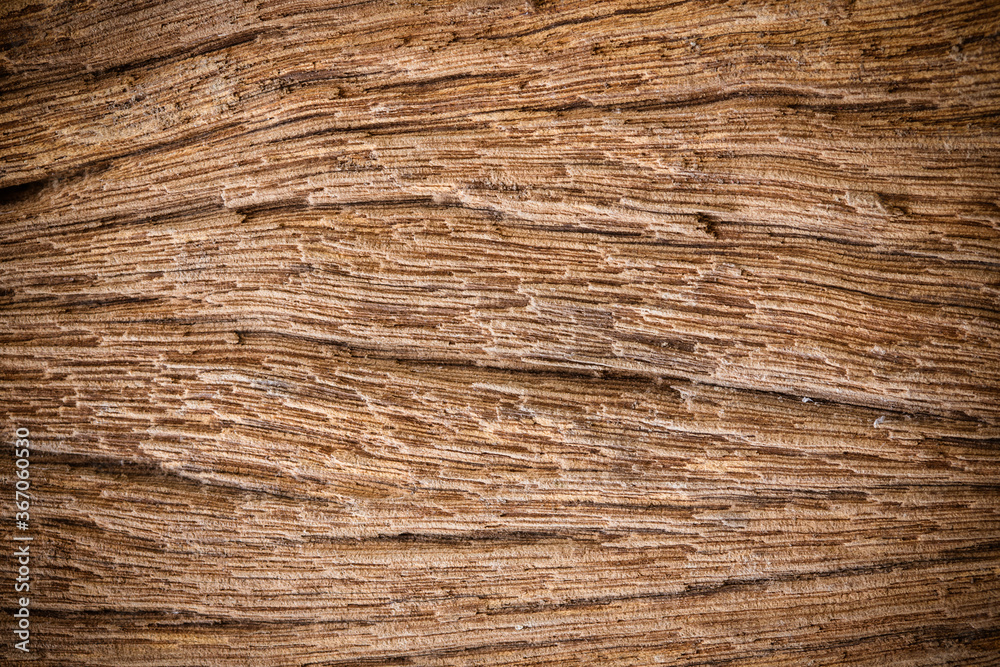 Rotten wood with lines broken pattern, weathered cracked vignette grunge texture for background Rotten wood with lines broken pattern, weathered cracked vignette grunge texture for background