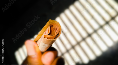 Wallpaper Mural Cash and money in habd Torontodigital.ca