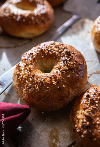 Fresh homemade everything bagels on tray
