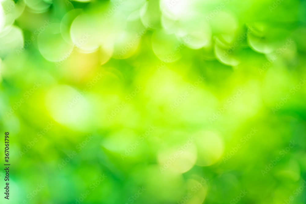 Obraz premium Green background abstract light gradient bokeh natural Used for text input