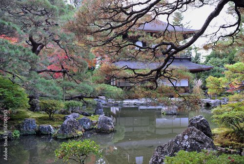 Breathtaking view on japanese garden in autumn. Beautiful maple trees around the pool with big stones.
