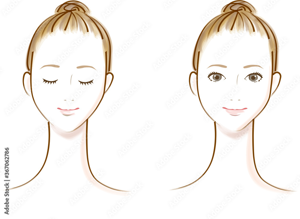 スキンケア説明のための女性の正面顔のベクターイラスト Stock Vector Adobe Stock