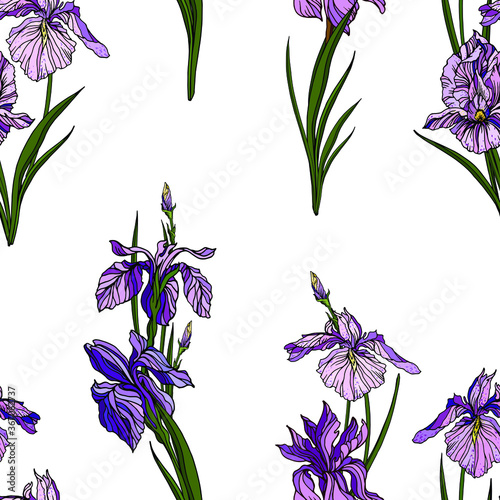 Vector seamless pattern: violet and purple iris flowers, buds and green leaves in boquets. Floral design with hand drawn realistic elements for textile , wallpaper. wrapping paper photo