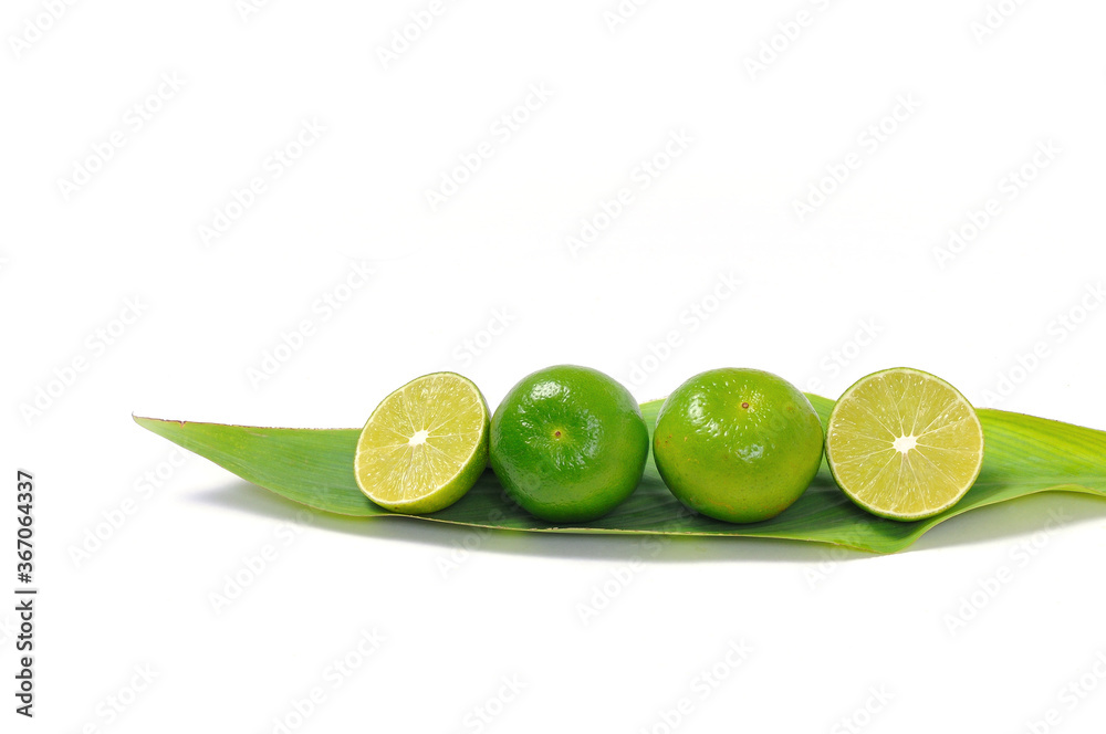 lemon on leaf white background, selective focus