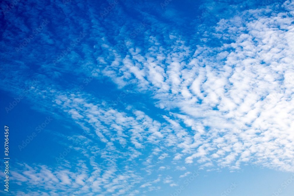 Alto cumulus in a clear sky