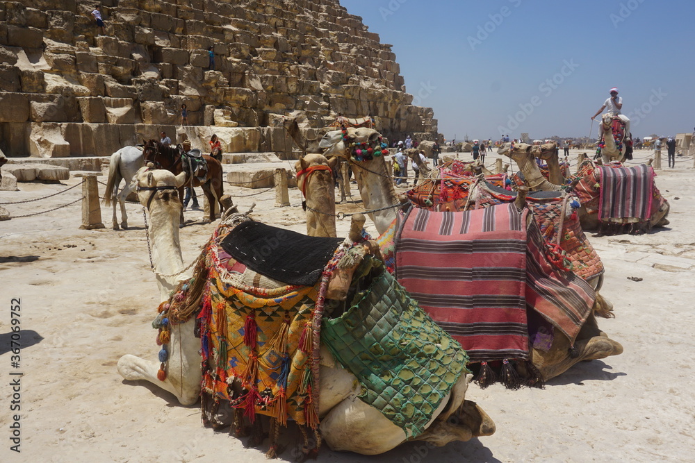 KI cairo EGYPT
ひとり旅　日常の風景29
ピラミッド