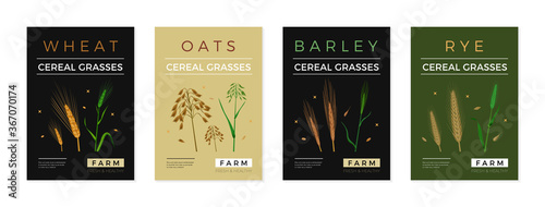 Botanical Poster Set