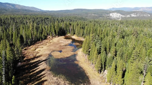 Flying Over Wetlands in Plumas National Forest photo