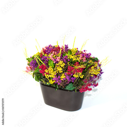 Цветы в кашпо 