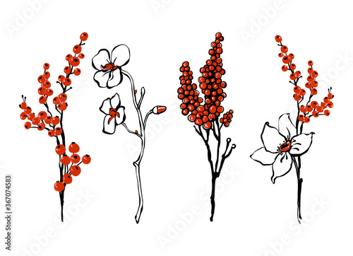 Christmas floral elements: white poinsettia flower branch and red holly berry. Holiday Christmas background. Winter retro t-shirt design. Vector floral watercolor painting on white backdrop.