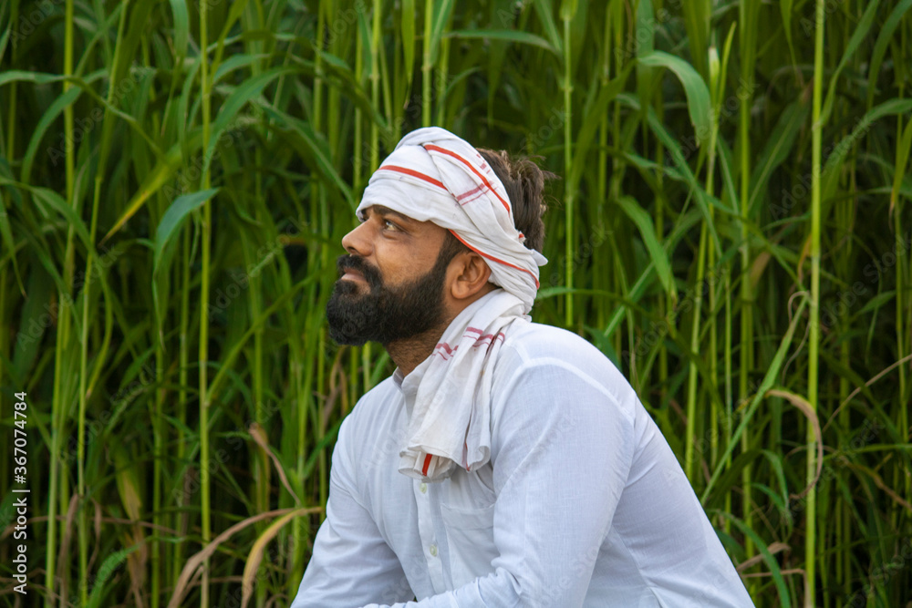 Indian farmer sitting in front of fodder field Indian farmer sitting in front of fodder field