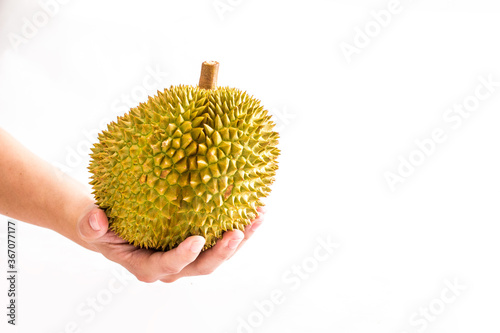 Tropical fruit durian