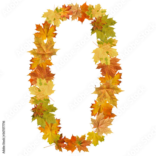 number of  autumn maple leaves