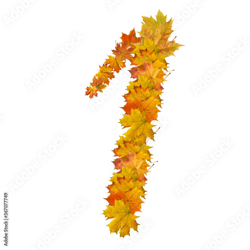 number of  autumn maple leaves