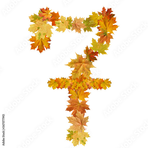 number of  autumn maple leaves