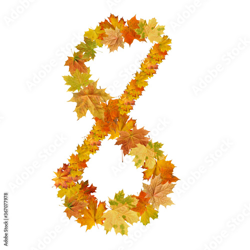 number of  autumn maple leaves