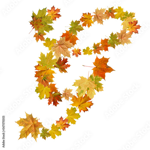 letter of  autumn maple leaves