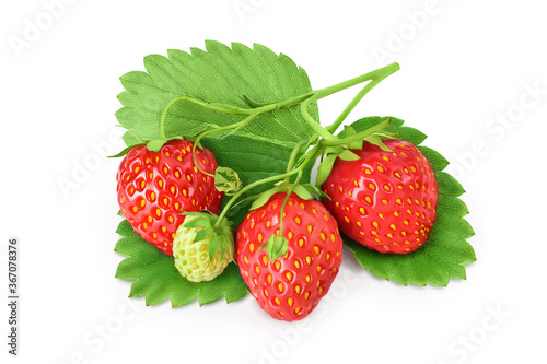 Strawberry isolated on white background. Fresh berry with clipping path and full depth of field. Top view. Flat lay