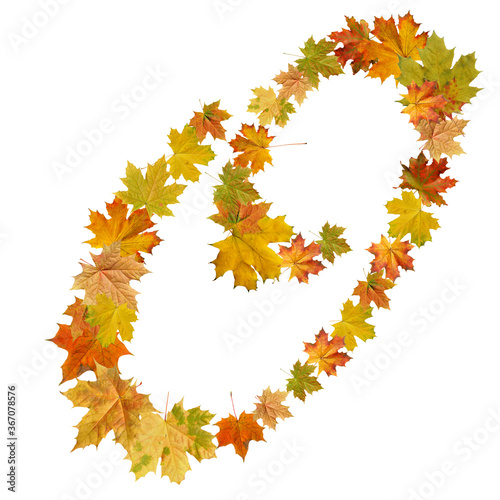 letter of  autumn maple leaves