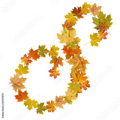letter of  autumn maple leaves