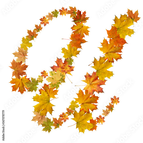 letter of  autumn maple leaves