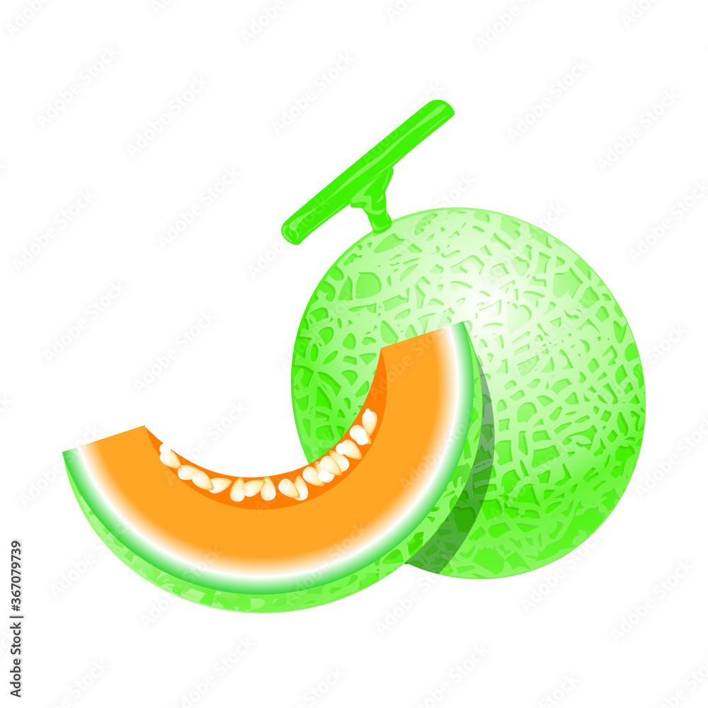 Melon, one of famous tropical Thai fruit