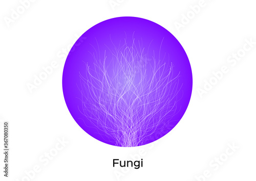 fungi icon vector on white background