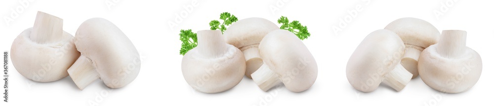 Fototapeta premium Fresh mushrooms champignon isolated on white background with clipping path and full depth of field. Set or collection
