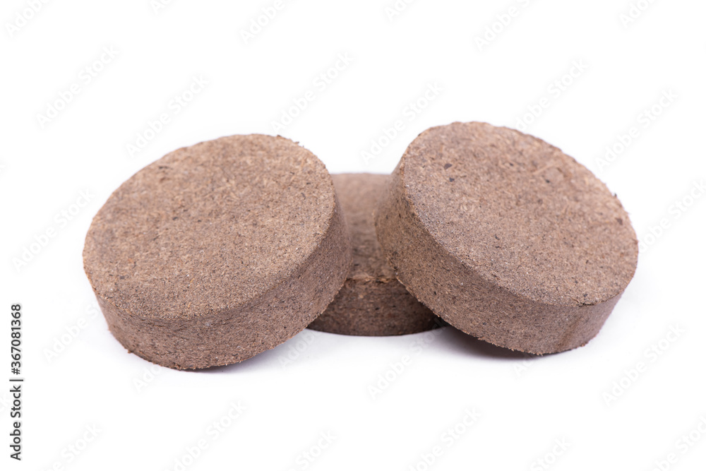Fototapeta premium Dry peat pellets, compressed compost tablet