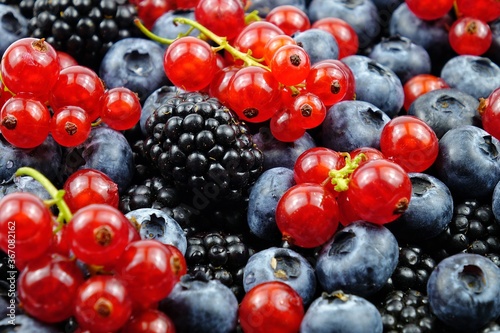 Fresh blueberries, blackberries and red currants, vitamins