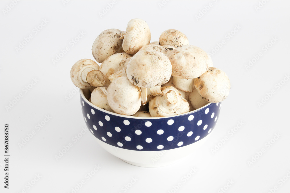a_bowl_of_mushrooms a_bowl_of_mushrooms