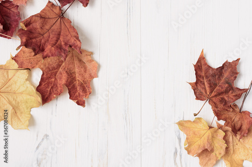 White wood background with dry autumn maple leaves in the upper left and lower right corners and free space for text photo