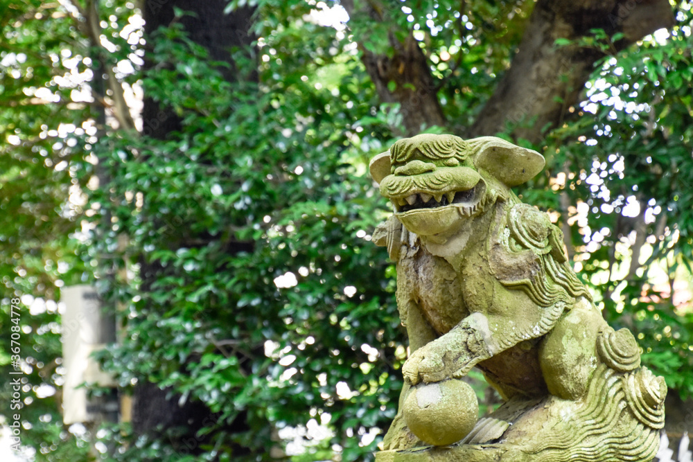 komainu, a guardian of a shinto shrine